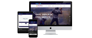Full Ready Betting Website (Low Price)