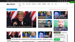 Newspaper WordPress Theme (14)
